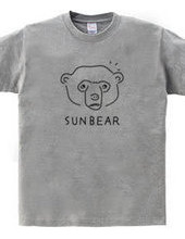 Malay Bear Sunbear Animal Illustration Bear