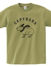 Capybara Animal Illustrations