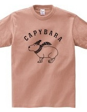 Capybara Animal Illustrations