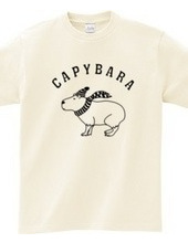 Capybara Animal Illustrations