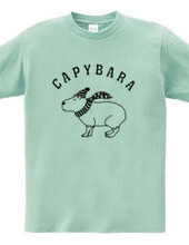 Capybara Animal Illustrations