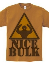 Nice_Bulk