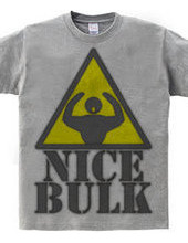 Nice_Bulk