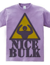 Nice_Bulk