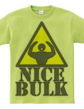 Nice_Bulk