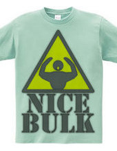 Nice_Bulk