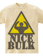 Nice_Bulk