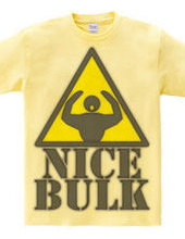 Nice_Bulk