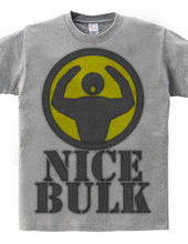 Nice_Bulk