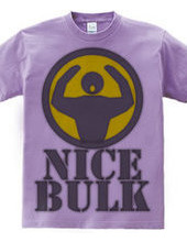 Nice_Bulk