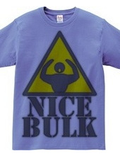 Nice_Bulk