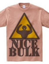 Nice_Bulk