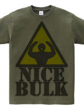 Nice_Bulk