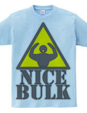 Nice_Bulk