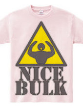 Nice_Bulk