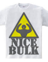 Nice_Bulk