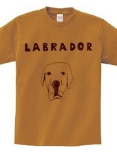 Labrador