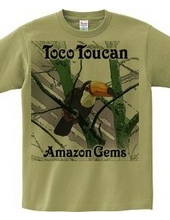 Toco Toucan：オオハシ