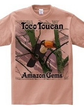 Toco Toucan：オオハシ