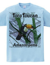 Toco Toucan：オオハシ