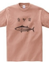 Katsuo Loose Fish Illustration Sea Fishing