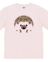 Hedgehog