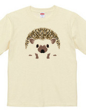 Hedgehog