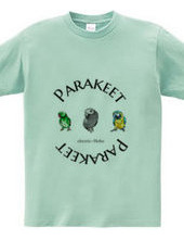 Parakeet