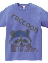 Raccoon (Color)