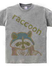 Raccoon (Color)