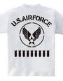 オールステンシル USエアフォース 2（バックプリント）(U.S. Air Force)