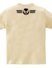 U.S. Air Force