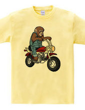 Ride a monkey bike