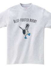 Blue-footed booby