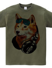 Shiba Jack