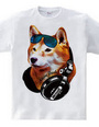 Shiba Jack