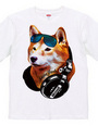 Shiba Jack