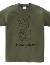 Pinched Rabbit