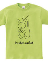 Pinched Rabbit