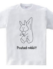 Pinched Rabbit