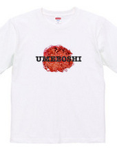 UMEBOSHI タッチ別