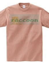 raccoon