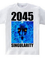 SINGULARITY 2045