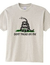 Dont Tread On Me Gadsden Flag