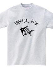 Tropical Fish