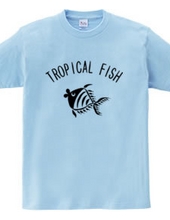 トロピカルな魚