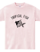 Tropical Fish