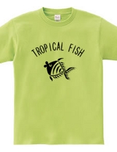 トロピカルな魚