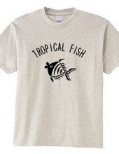 Tropical Fish