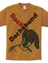 Dachshund